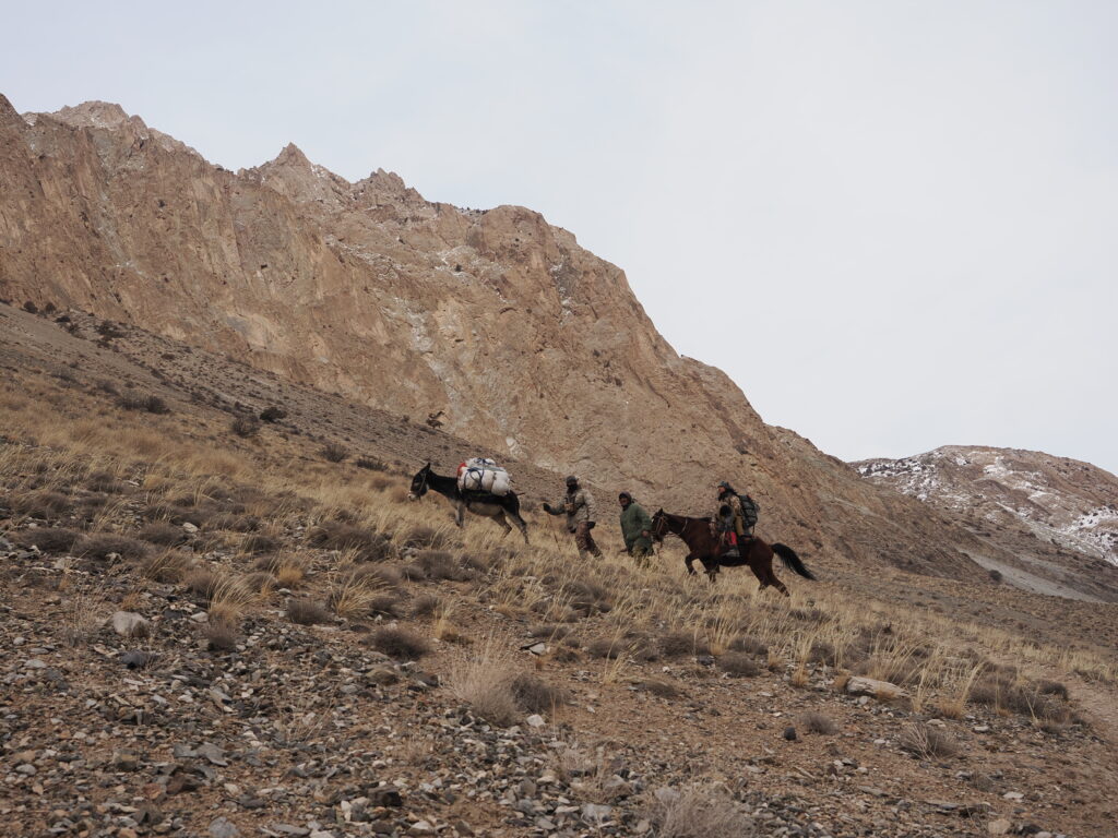 Packing out of ibex country